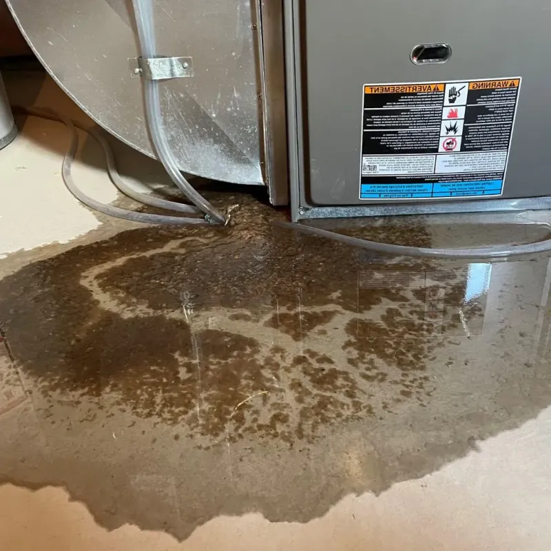 Pipe Burst and Leak Restoration in Trappe, MD