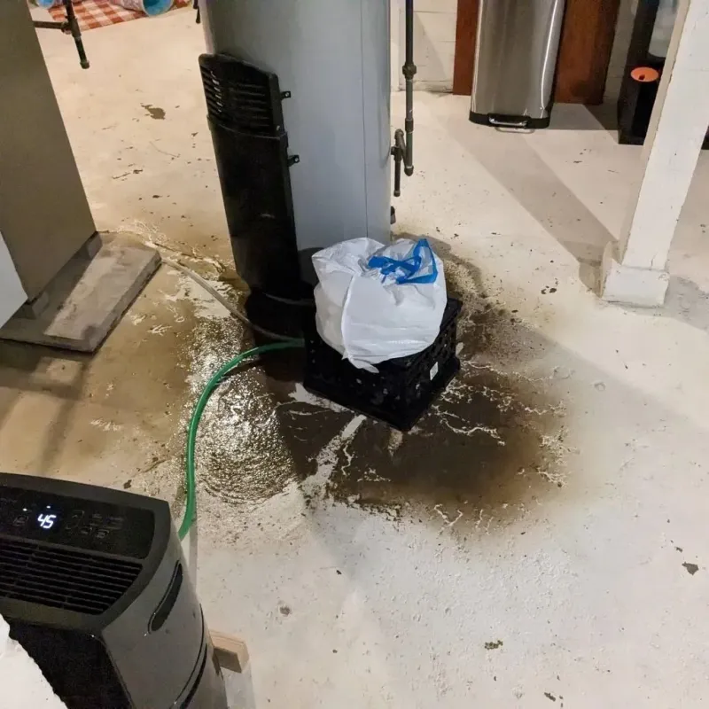 Sewage Backup Cleanup Service in Trappe, MD